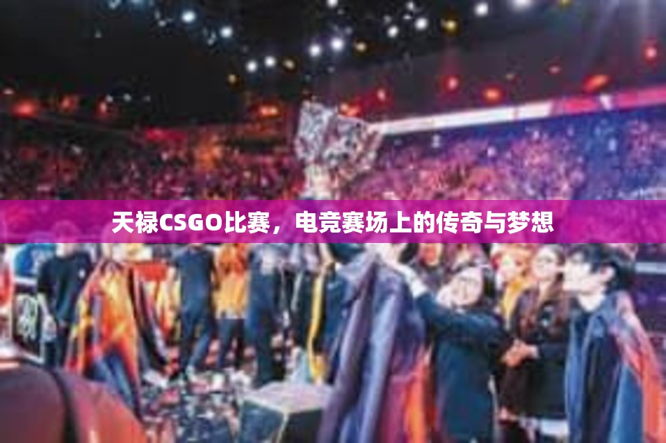 天禄CSGO比赛，电竞赛场上的传奇与梦想