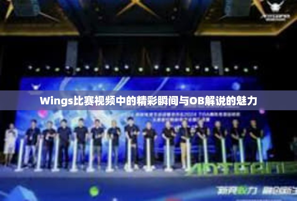 Wings比赛视频中的精彩瞬间与OB解说的魅力